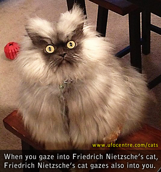 Friedrich Nietzsche's cat